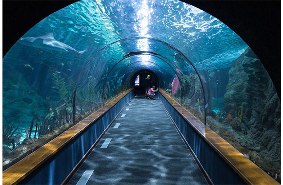 Aquarium