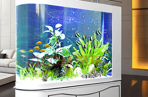 Fish tank
