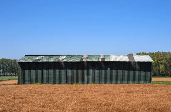 Steel Shed