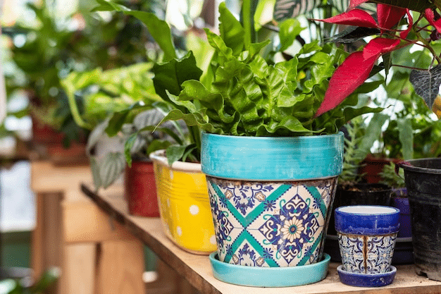 Can You Spray Paint on Ceramic Flower Pots? 5 Flower Pot Painting Idea -  SANVO