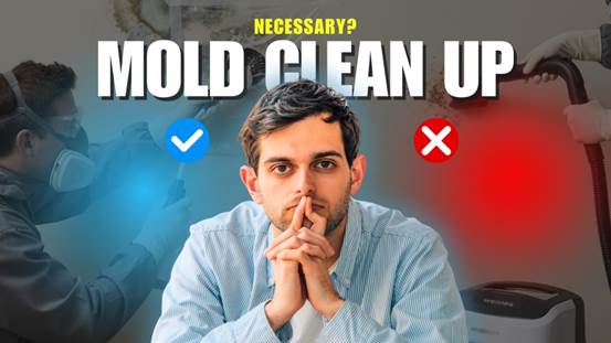 Is mold clean up necessary